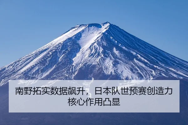 nan-ye-tuo-shi-shu-ju-biao-sheng-ri-ben-dui-shi-yu-sai-chuang-zao-li-he-xin-zuo-yong-tu-xian-3-849.jpg