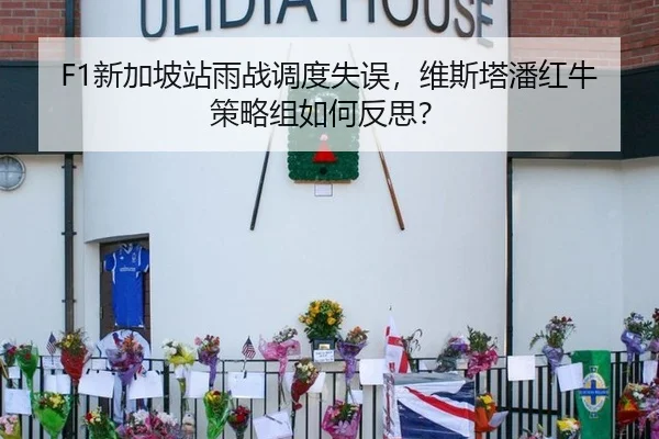 F1新加坡站雨战调度失误，维斯塔潘红牛策略组如何反思？